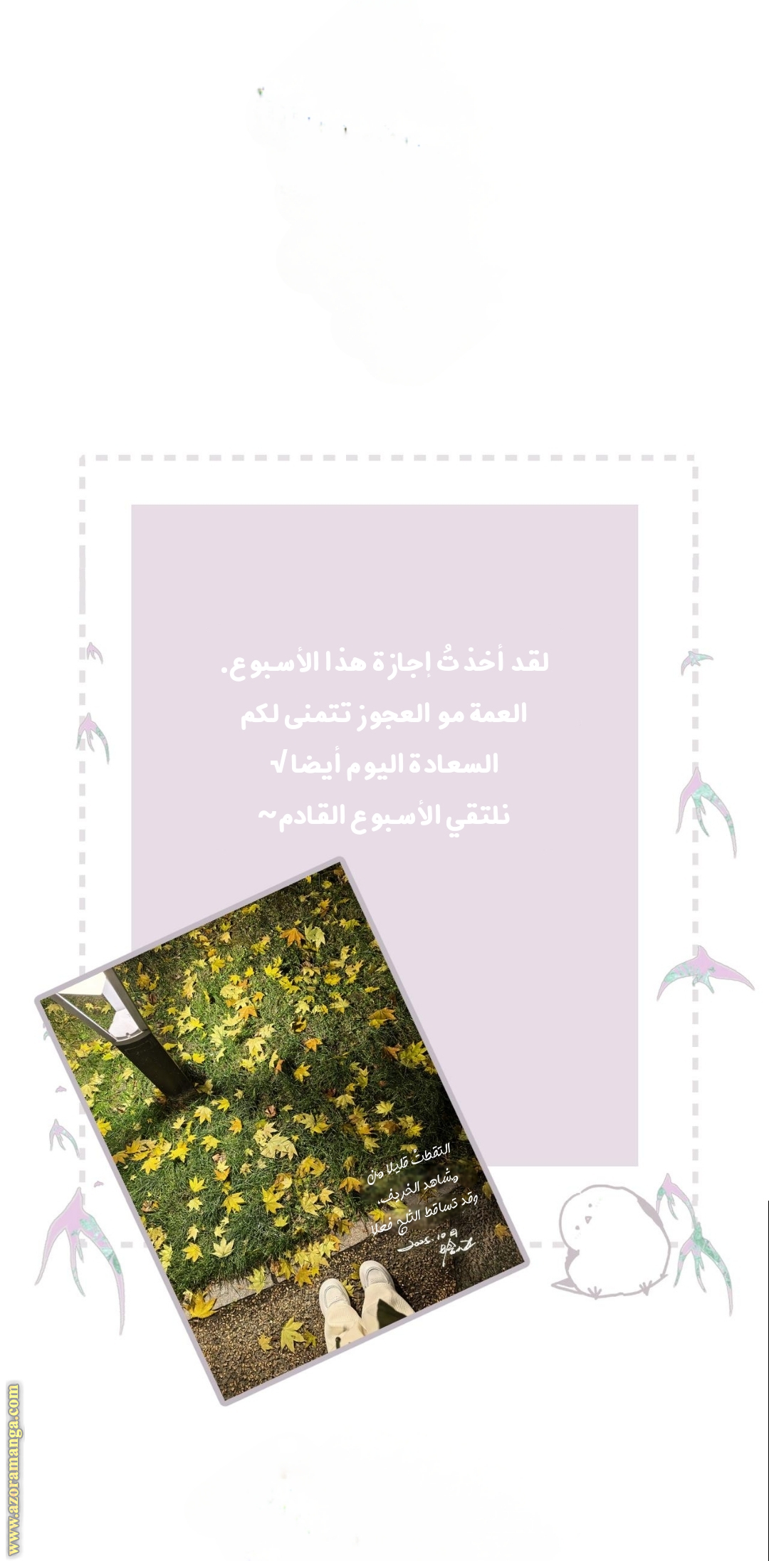 الصفحة 2