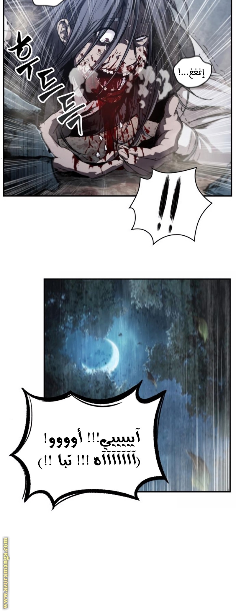 الصفحة 41