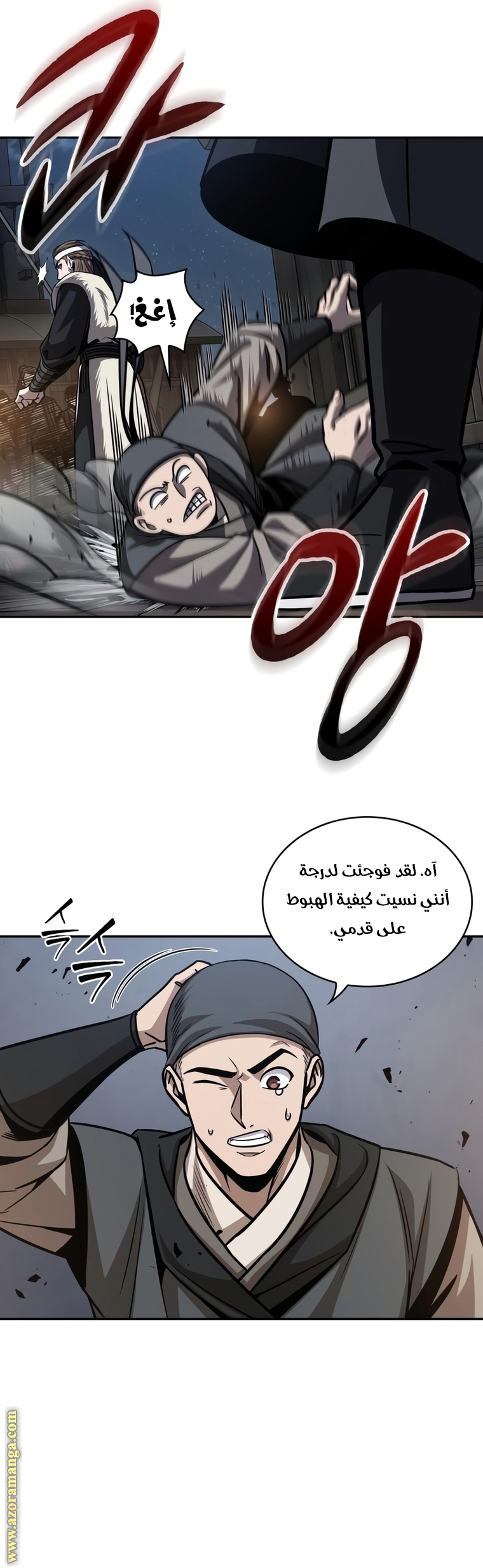الصفحة 29