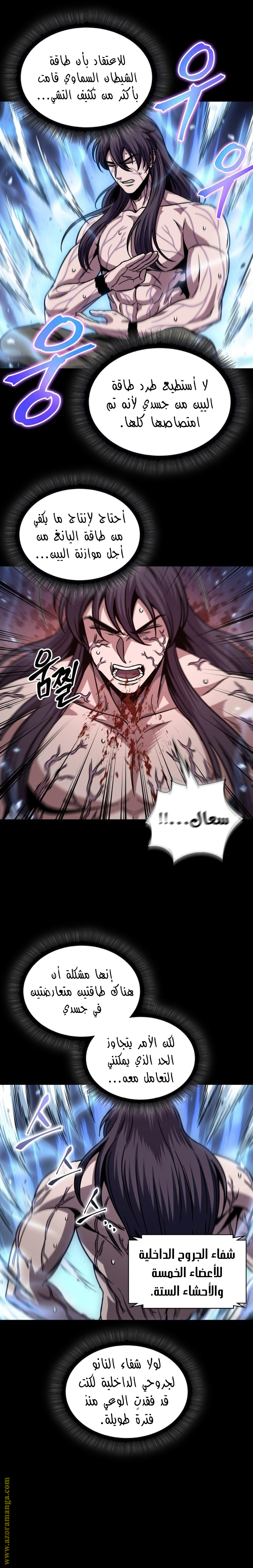 الصفحة 17