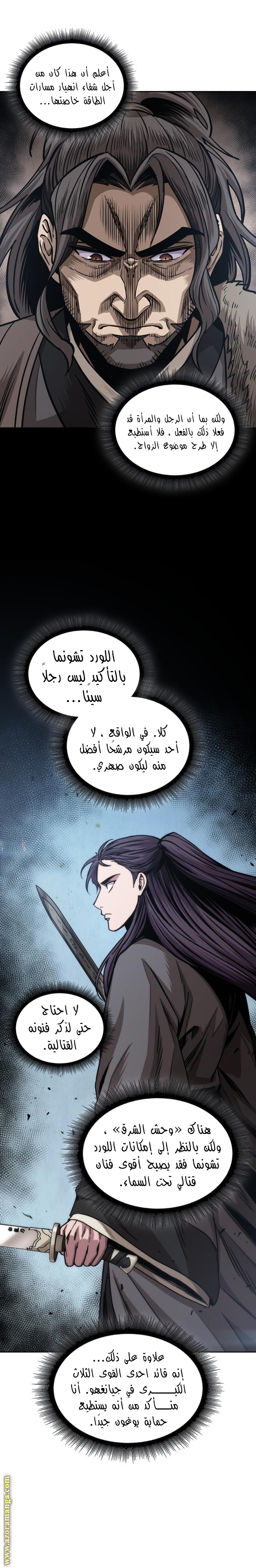 الصفحة 13