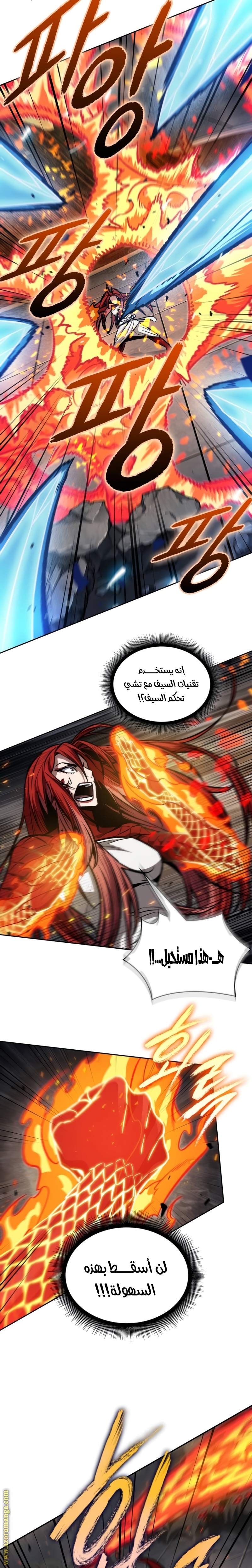 الصفحة 17