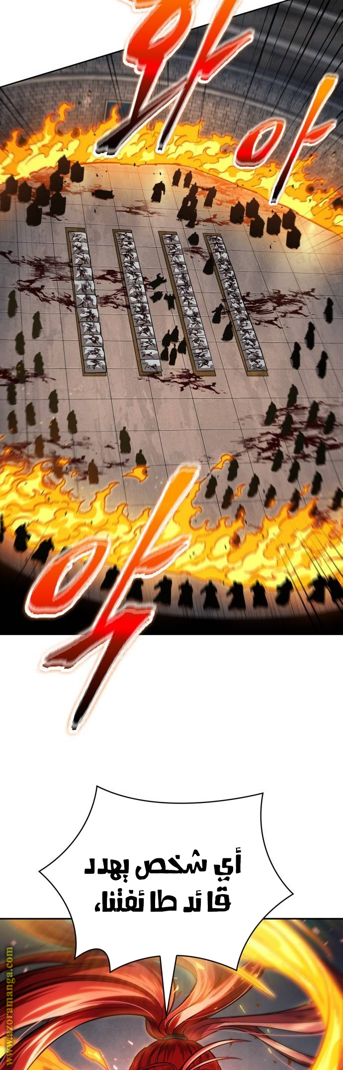 الصفحة 29