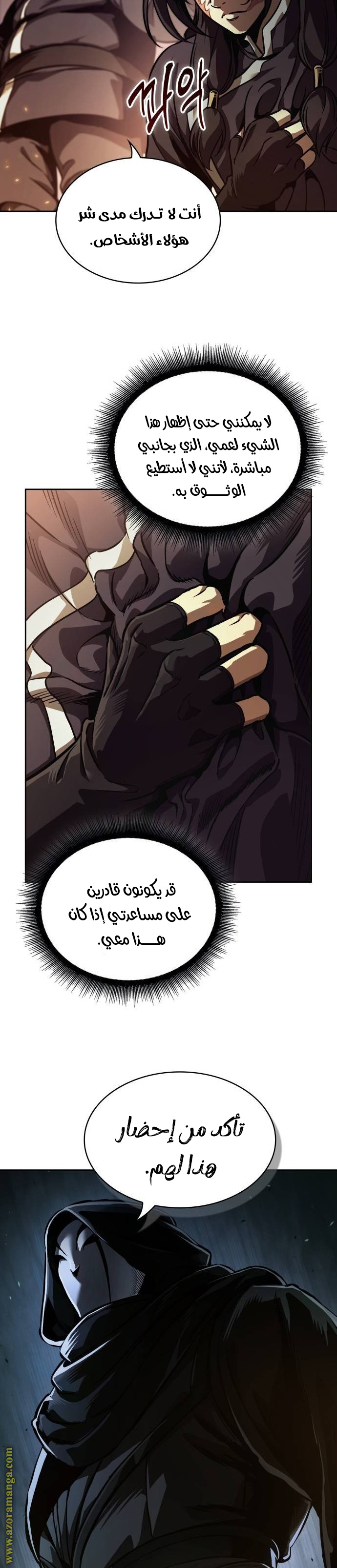 الصفحة 17