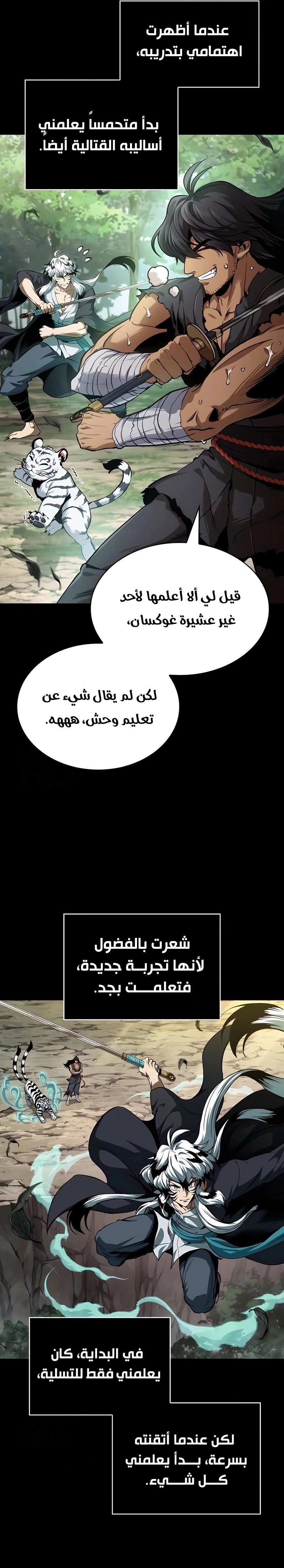 الصفحة 13