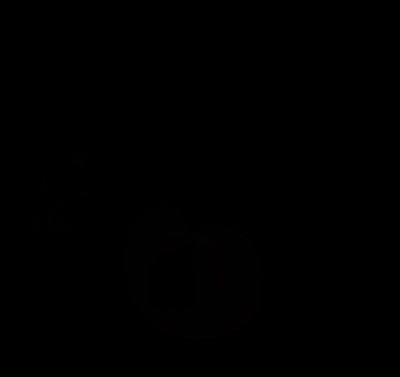 الصفحة 37