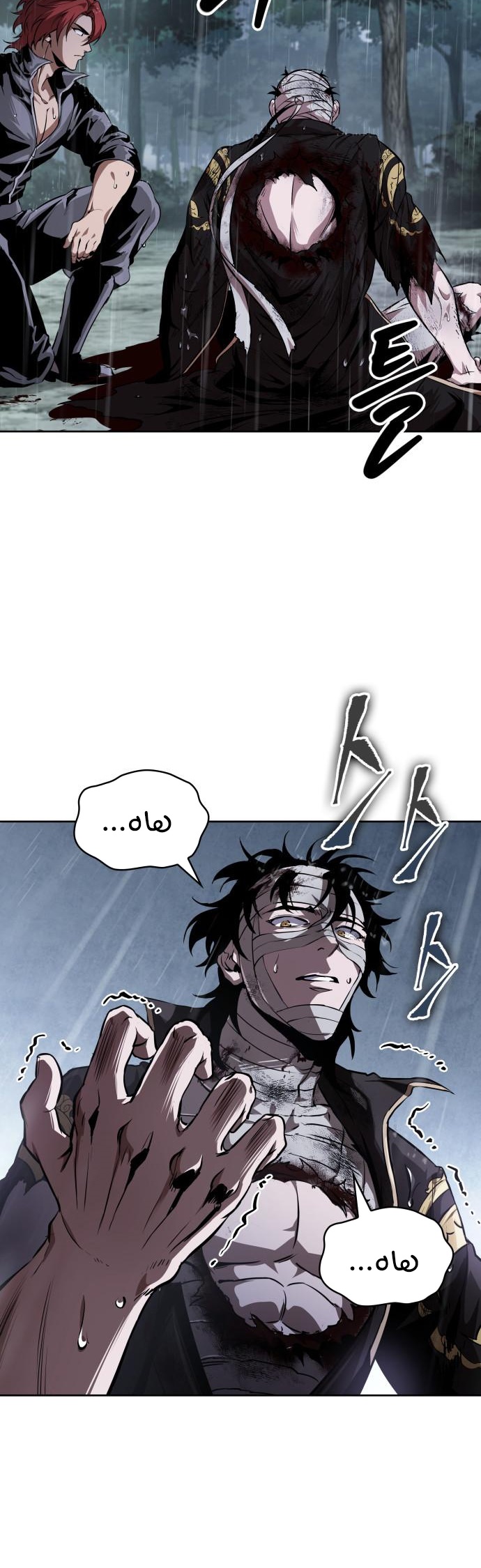 الصفحة 29