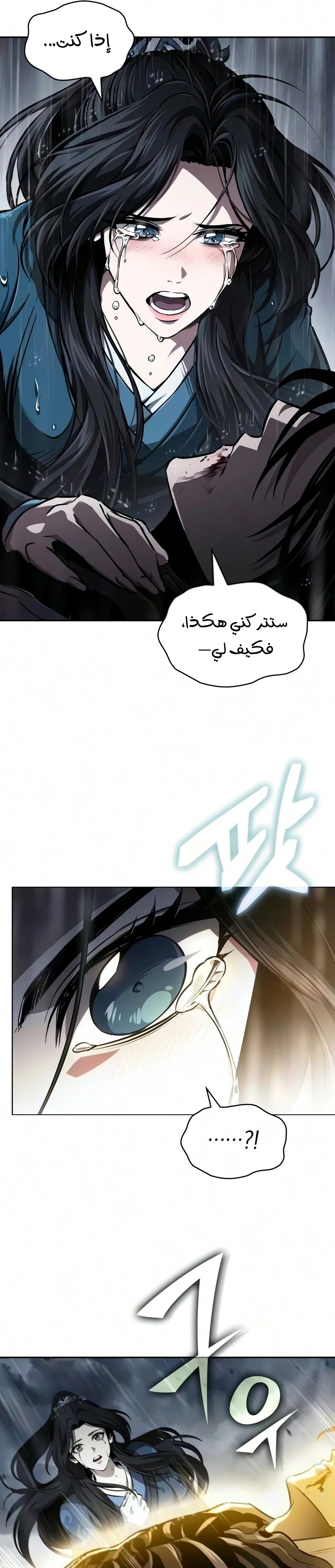 الصفحة 17