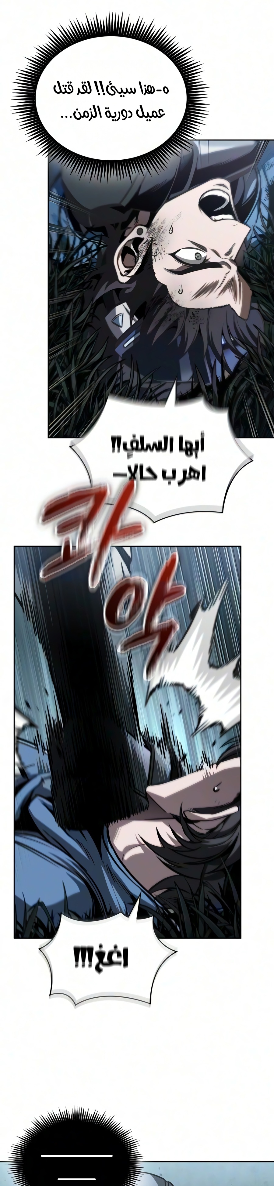 الصفحة 11
