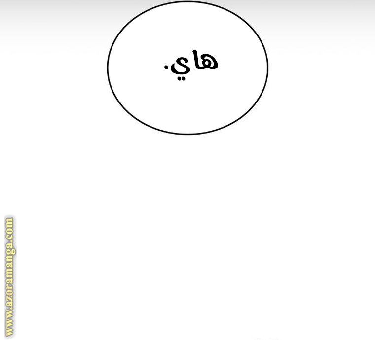 الصفحة 41