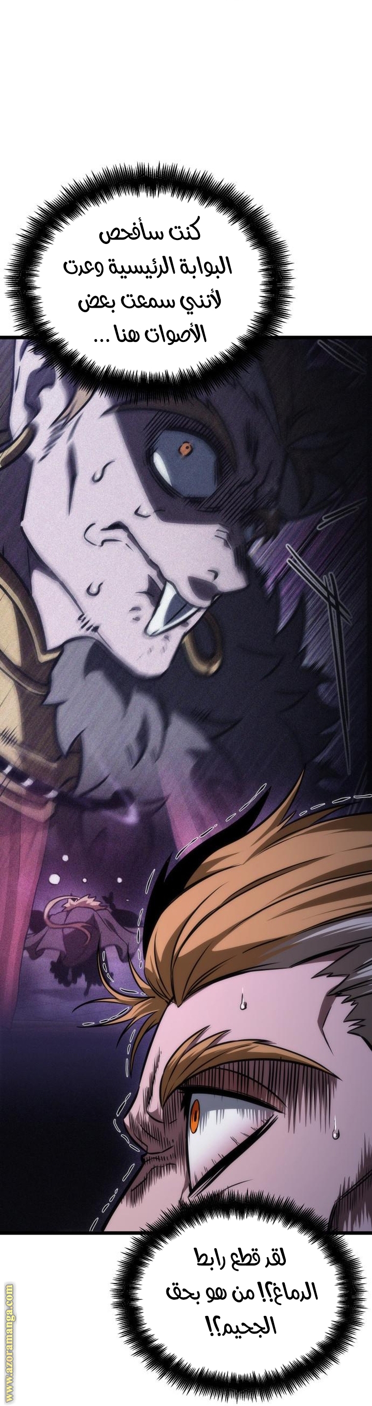 الصفحة 17