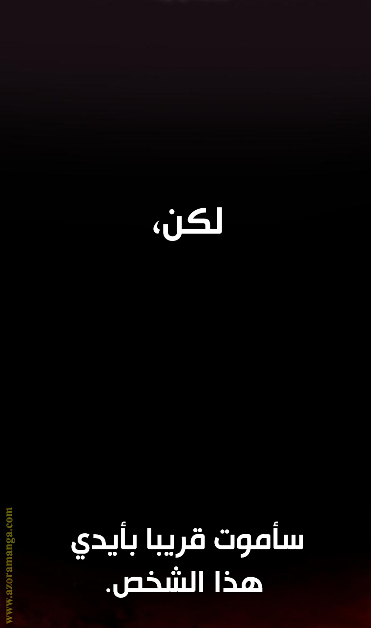 الصفحة 43