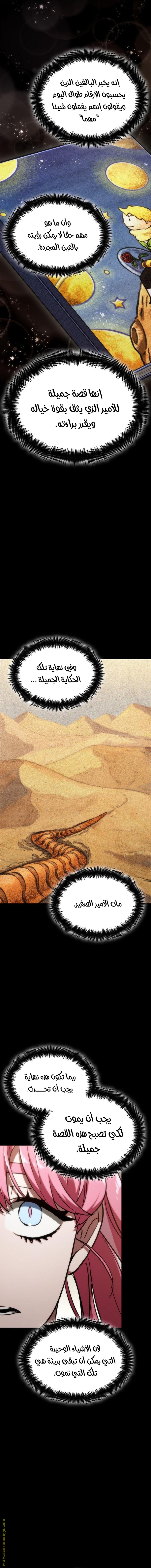 الصفحة 13