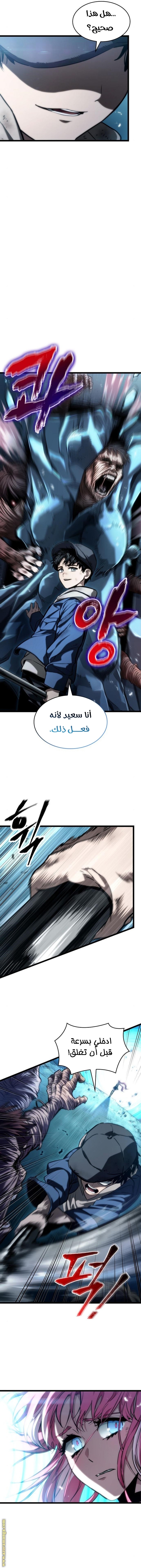 الصفحة 13