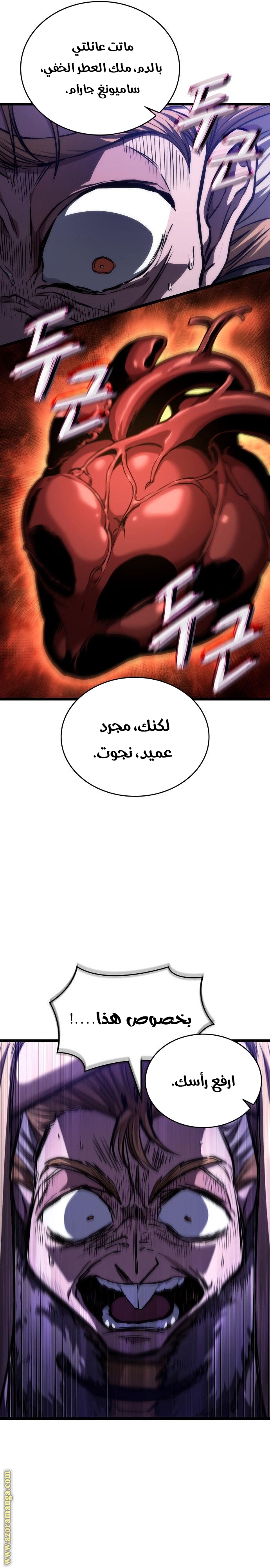 الصفحة 17