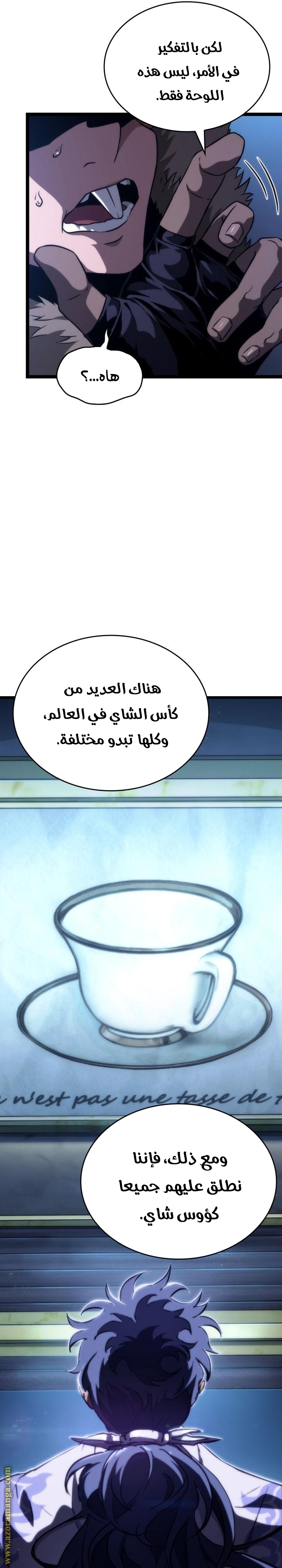 الصفحة 29