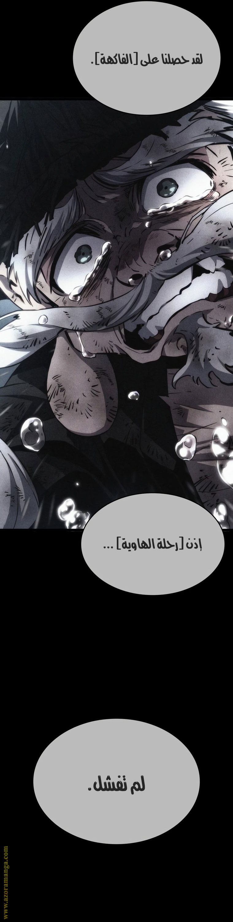الصفحة 42