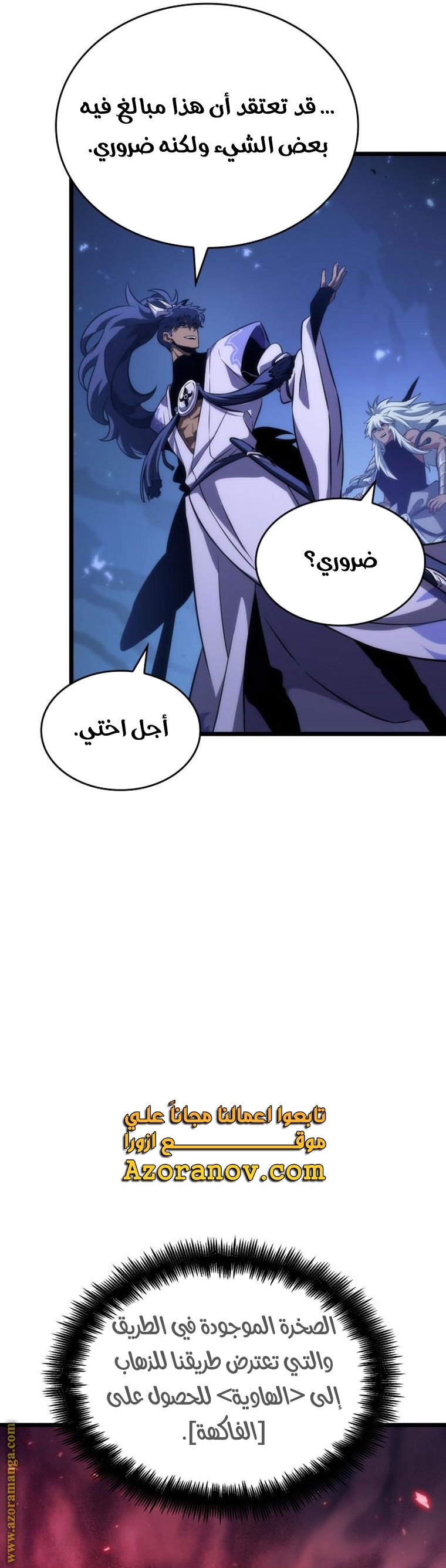 الصفحة 13