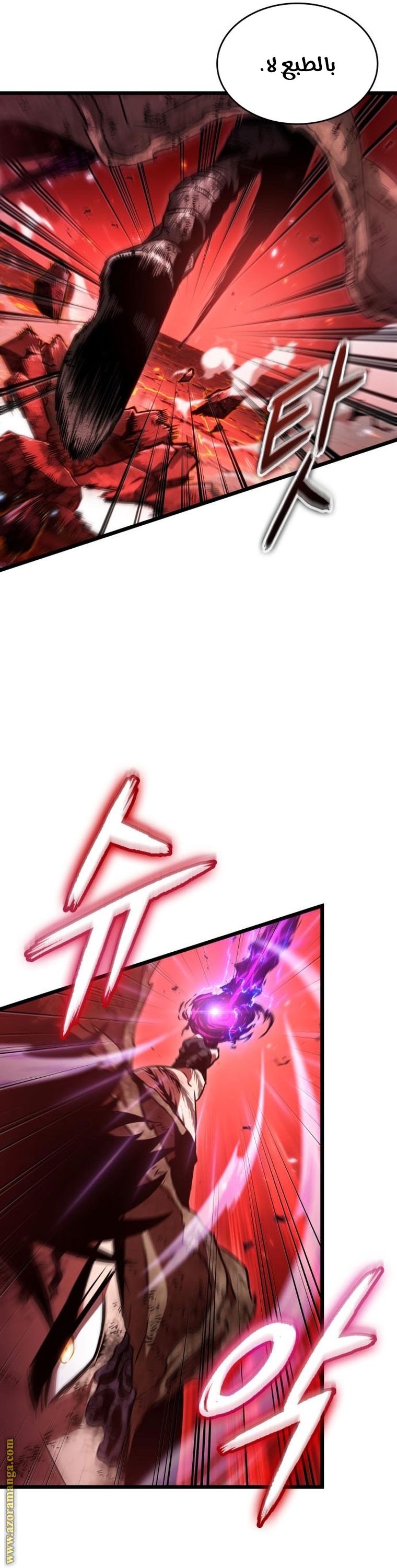 الصفحة 25