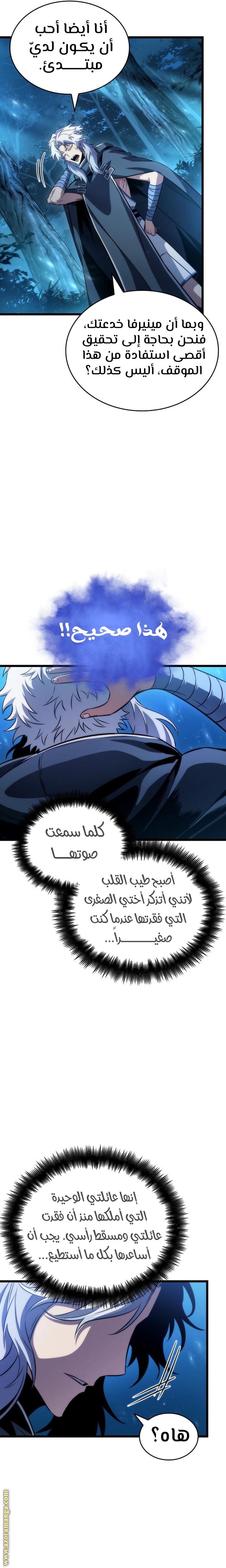 الصفحة 17