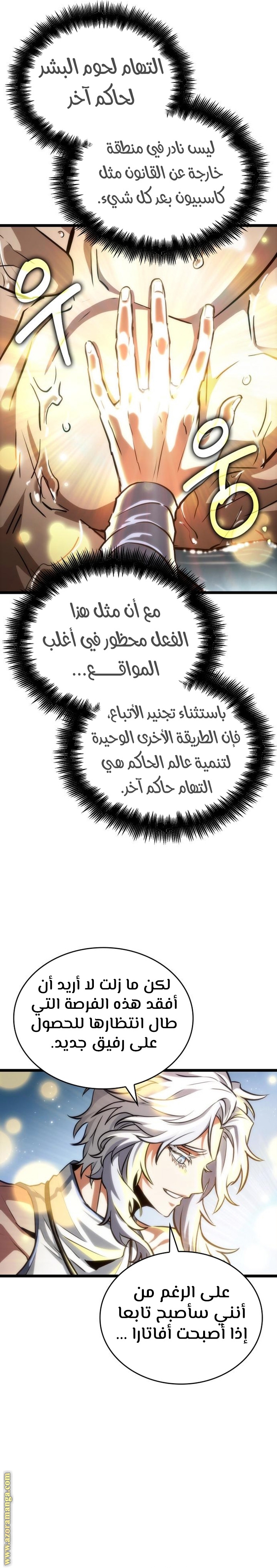 الصفحة 13
