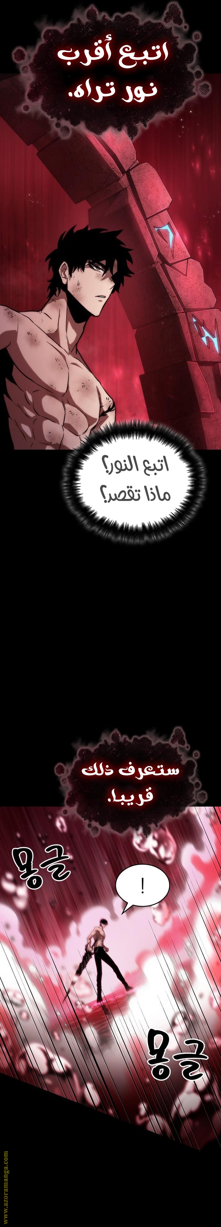 الصفحة 31