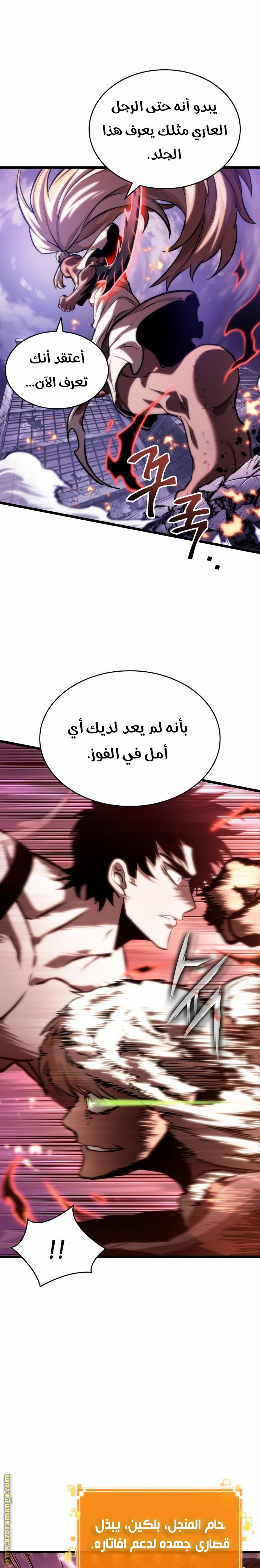 الصفحة 17