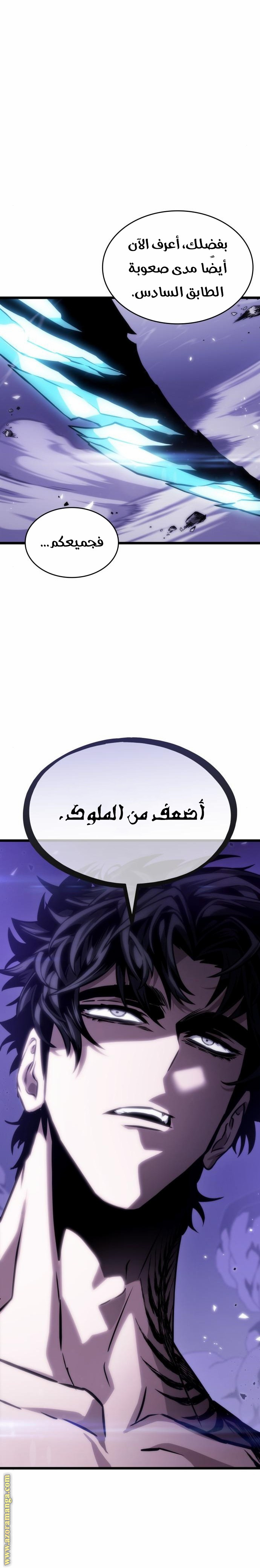 الصفحة 24