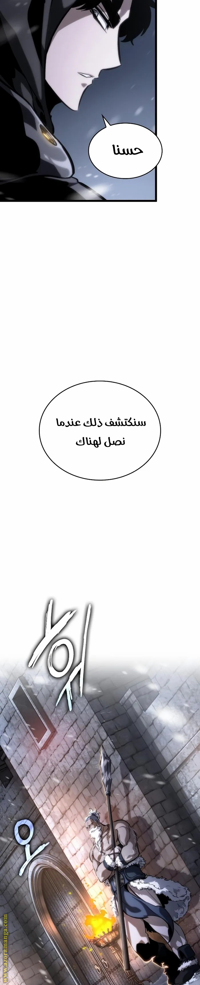 الصفحة 29