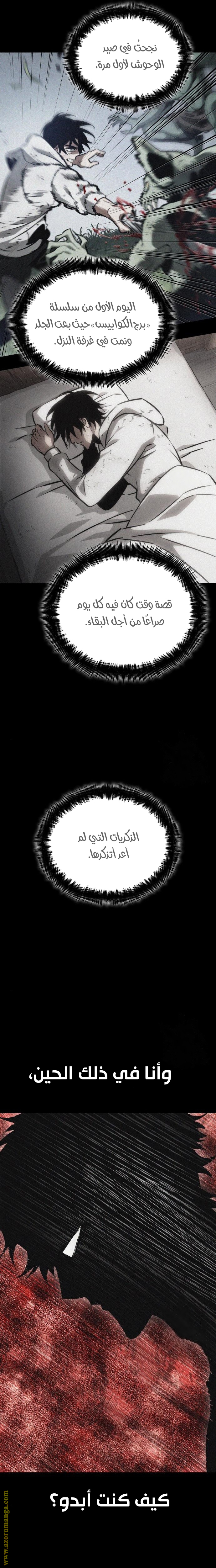 الصفحة 19