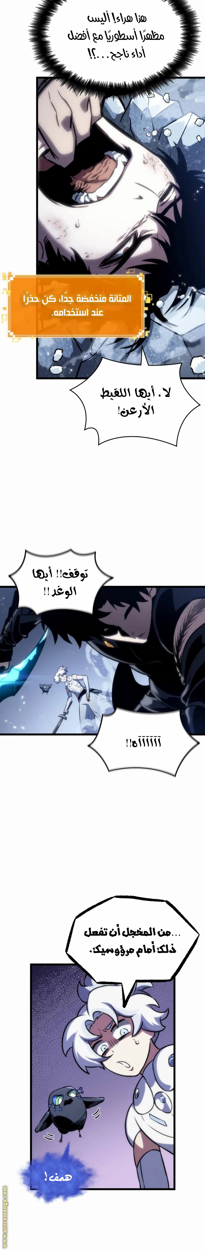 الصفحة 16