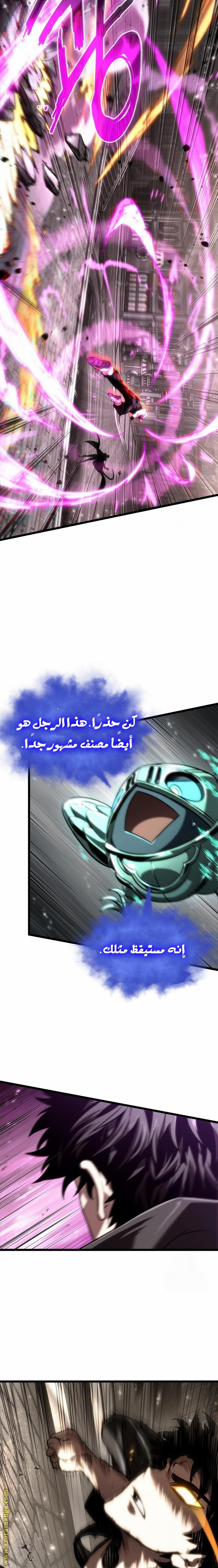 الصفحة 13
