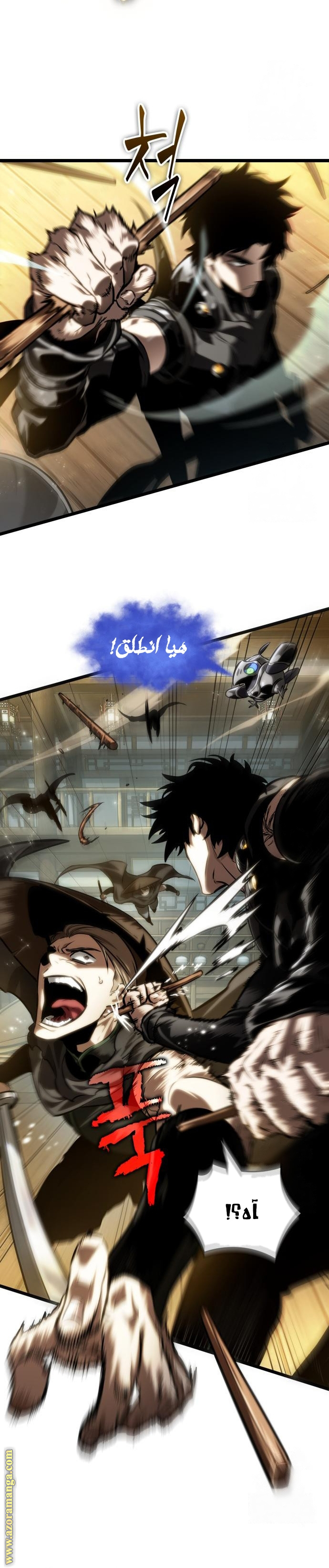 الصفحة 17