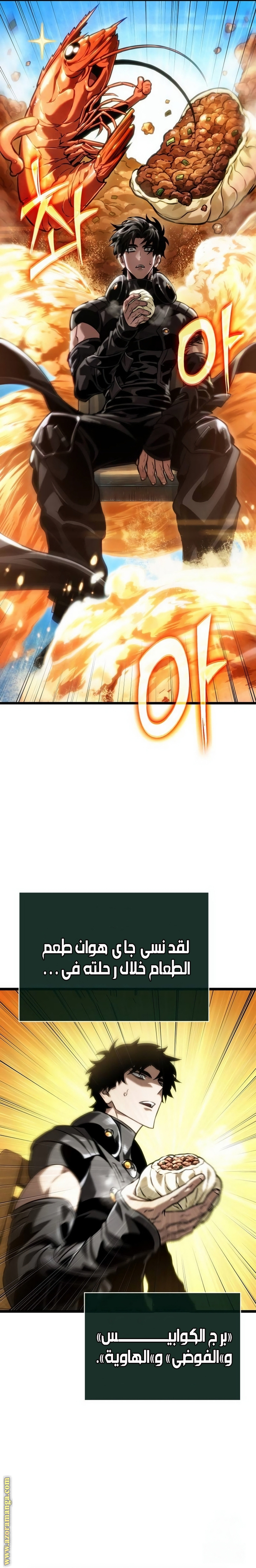 الصفحة 14