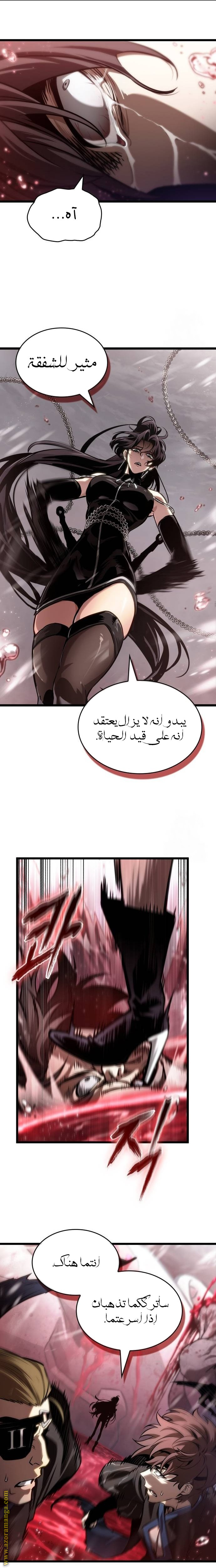 الصفحة 17
