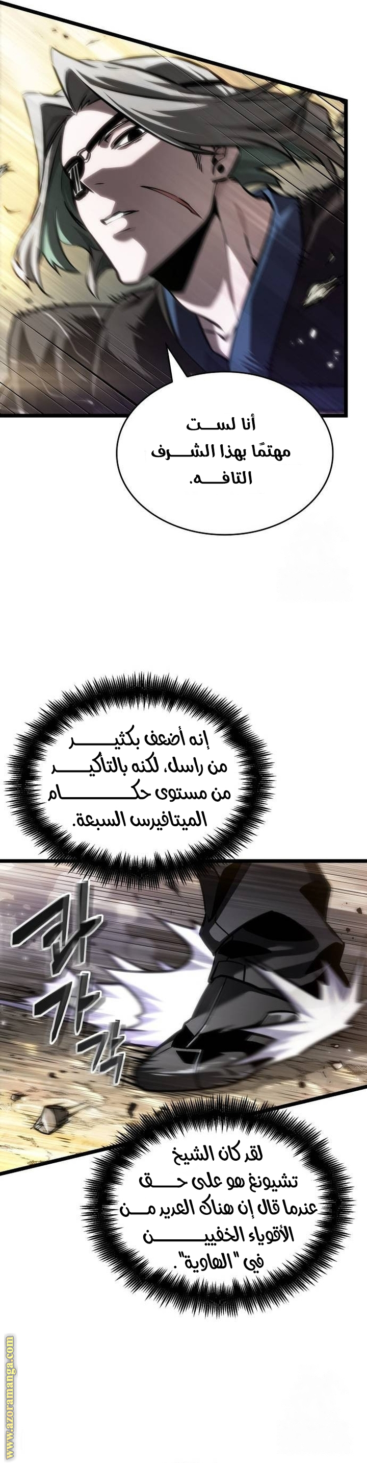 الصفحة 13