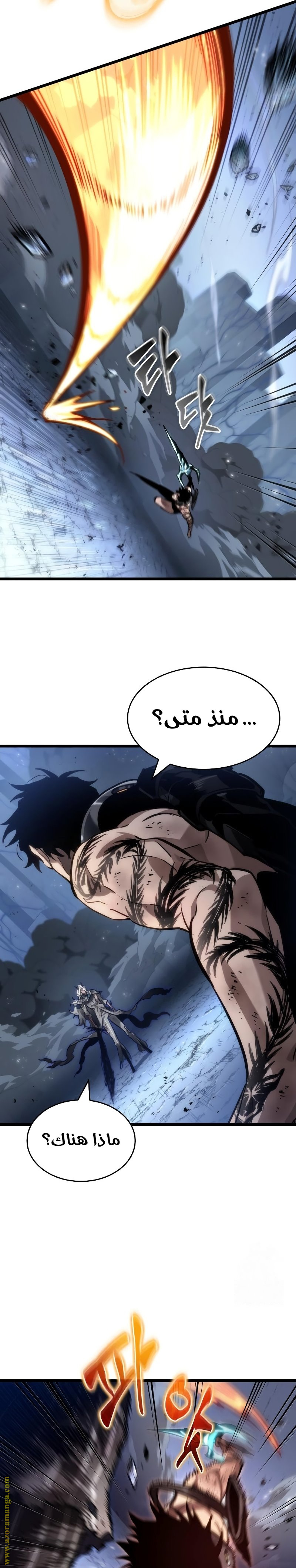الصفحة 29