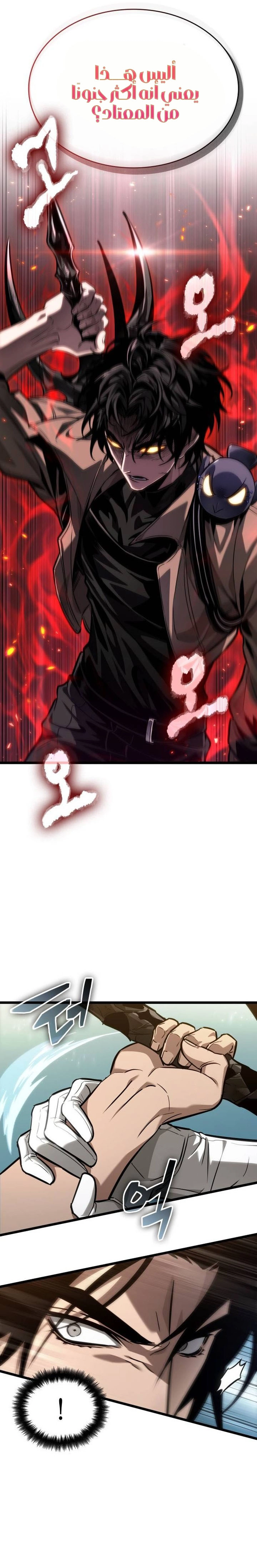 الصفحة 13