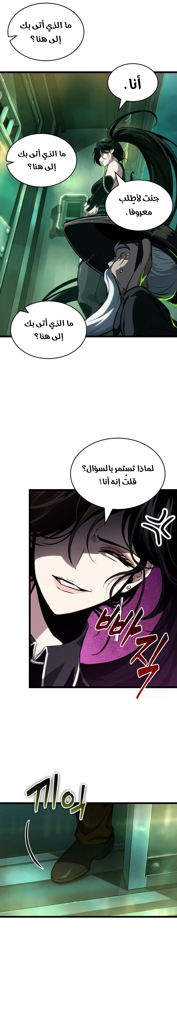 الصفحة 13