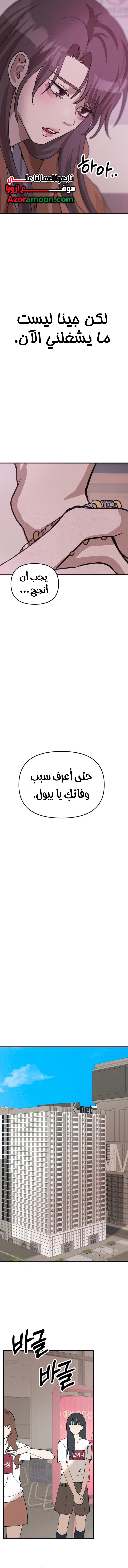 الصفحة 13