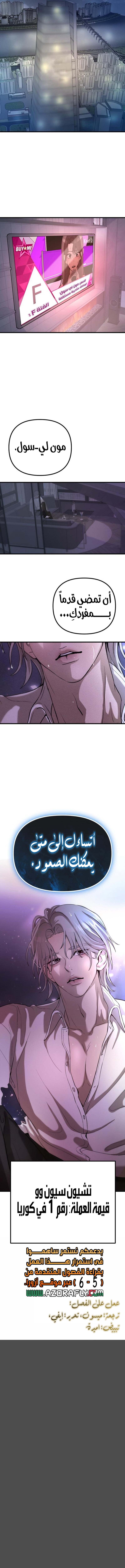 الصفحة 17