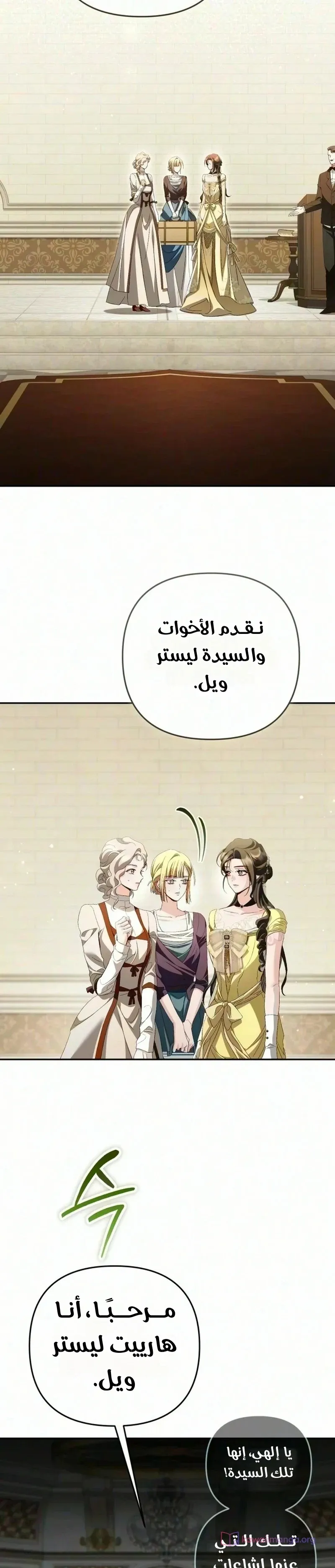 الصفحة 22