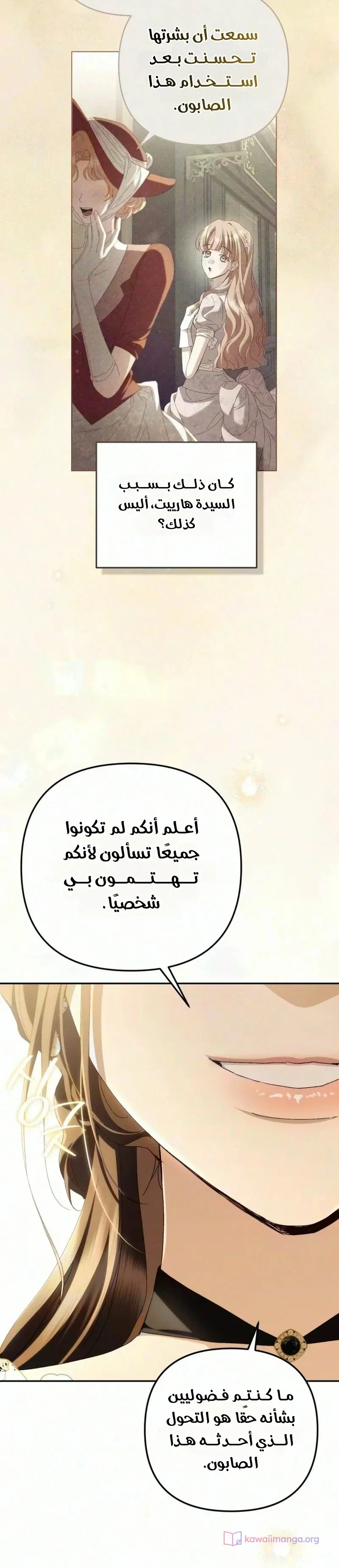 الصفحة 26