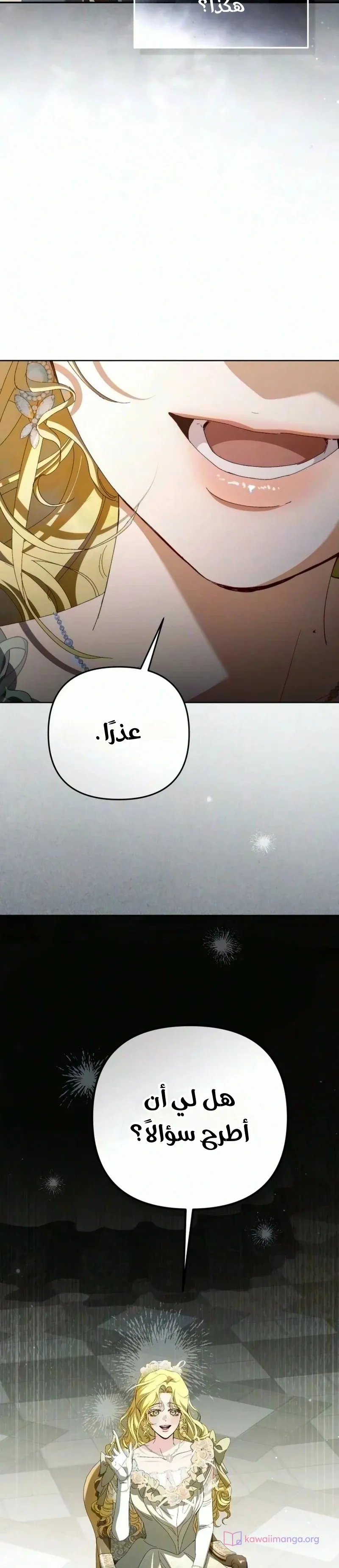 الصفحة 29