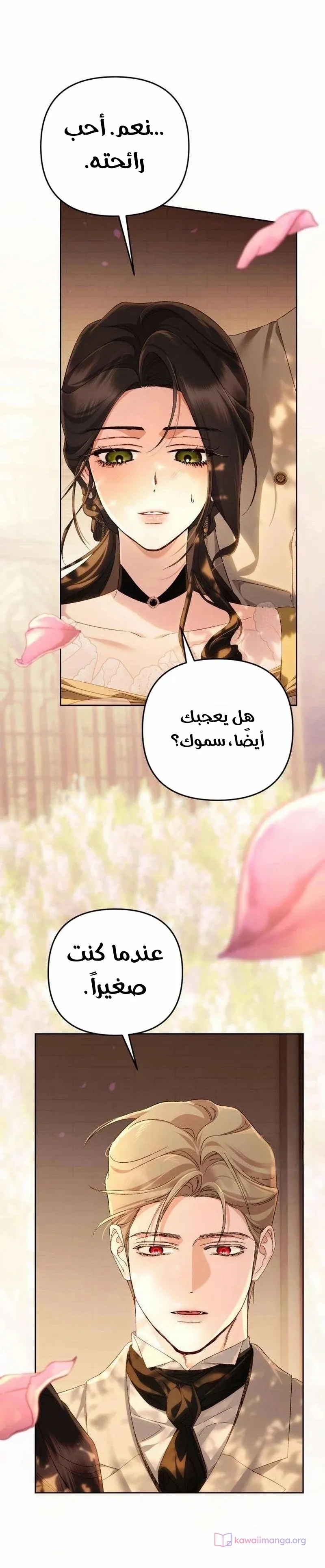 الصفحة 17