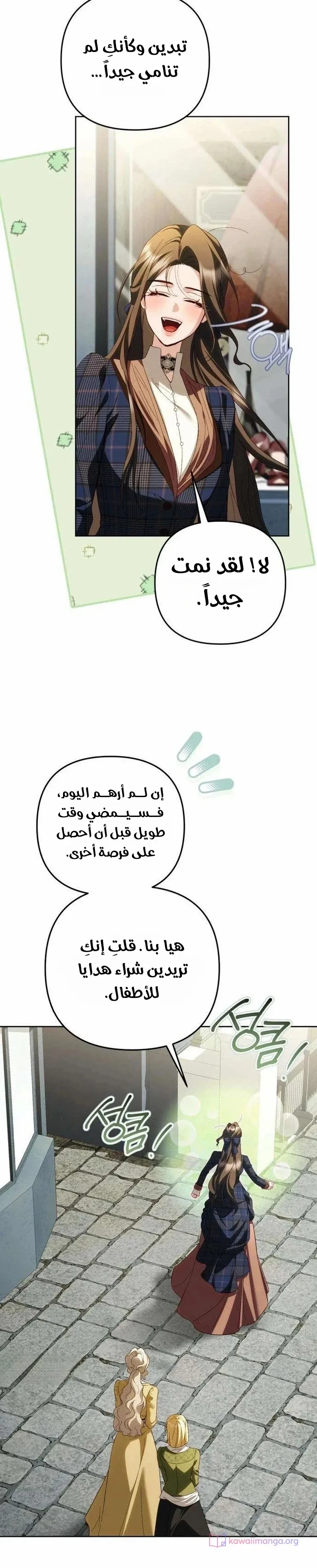 الصفحة 13