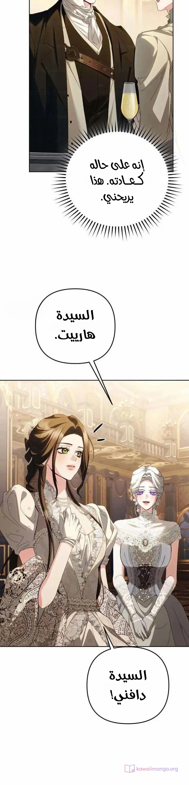 الصفحة 17