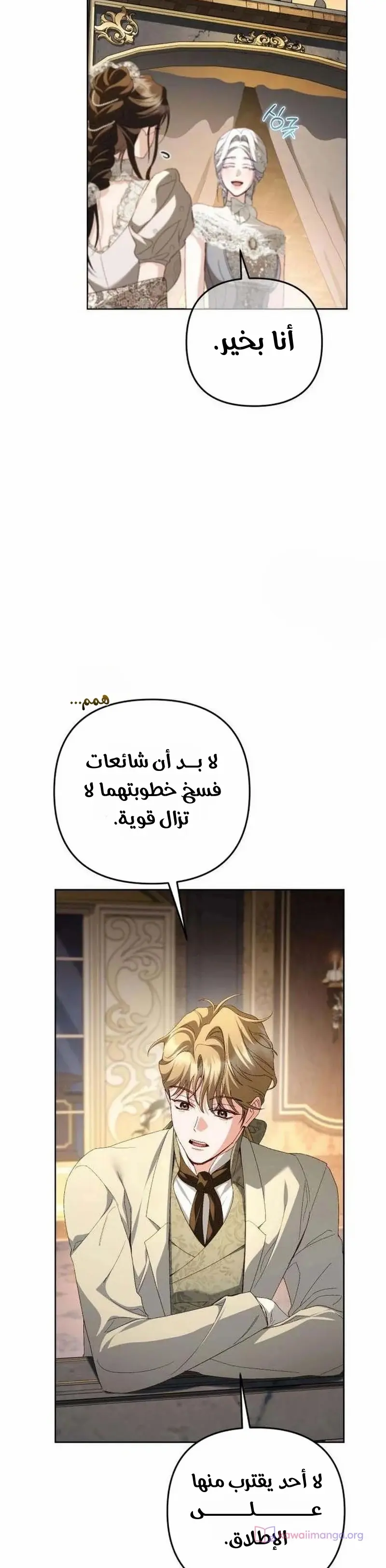 الصفحة 26