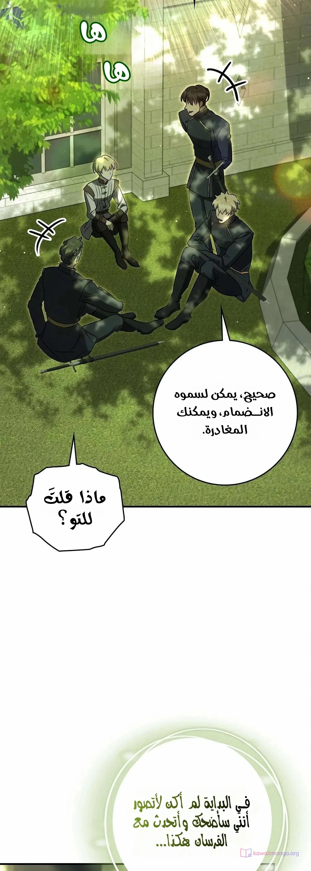 الصفحة 13