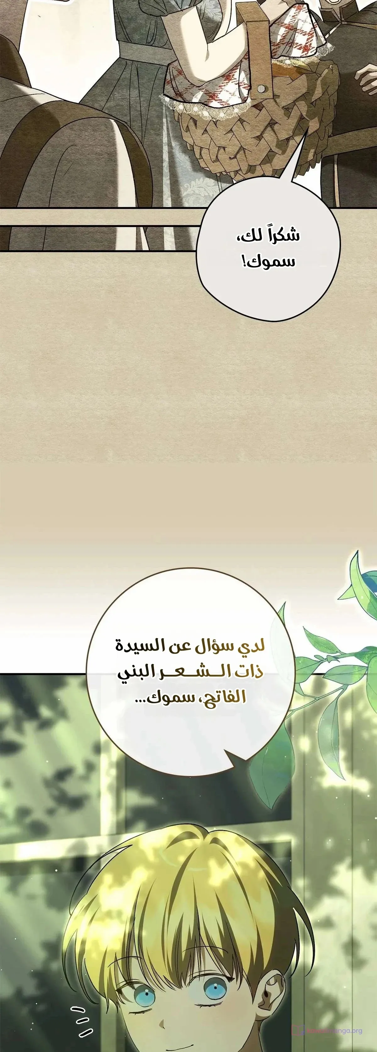 الصفحة 17